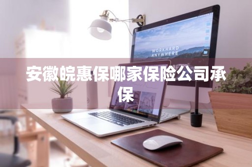 安徽皖惠保哪家保险公司承保