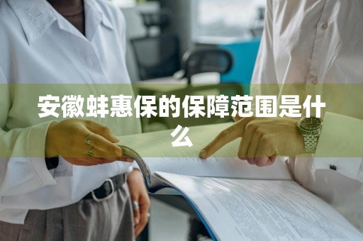 安徽蚌惠保的保障范围是什么
