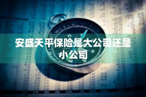 安盛天平保险是大公司还是小公司