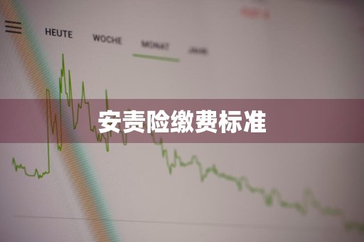 安责险缴费标准