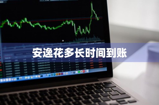 安逸花多长时间到账