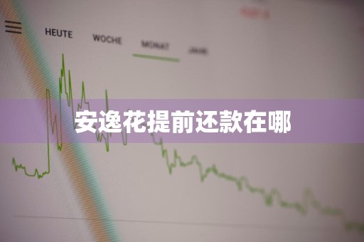 安逸花提前还款在哪