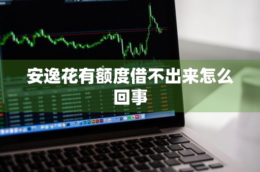 安逸花有额度借不出来怎么回事