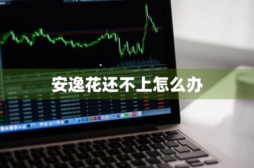 安逸花还不上怎么办