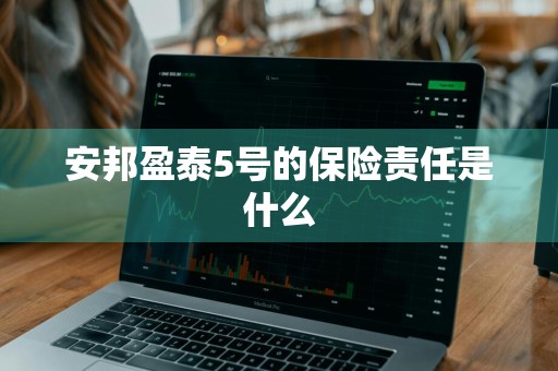 安邦盈泰5号的保险责任是什么
