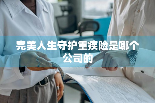 完美人生守护重疾险是哪个公司的