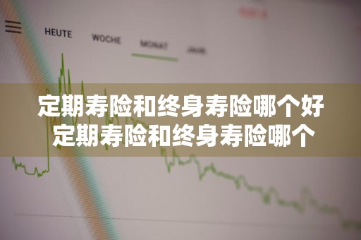 定期寿险和终身寿险哪个好 定期寿险和终身寿险哪个好一点