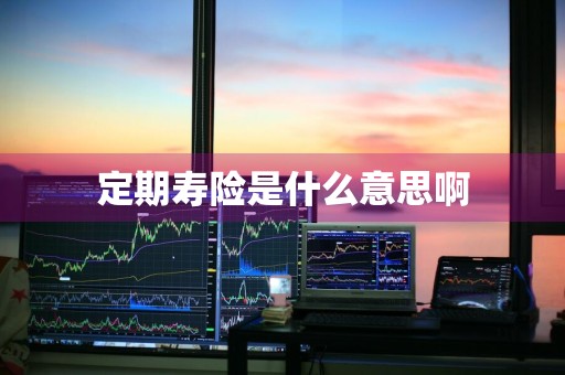 定期寿险是什么意思啊