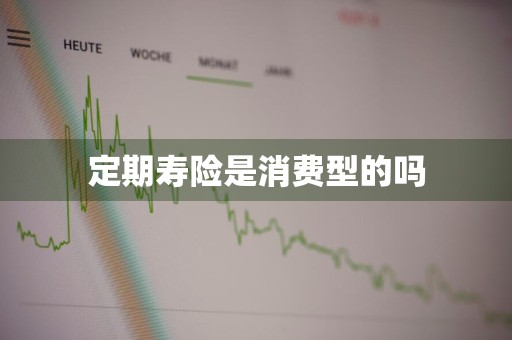 定期寿险是消费型的吗
