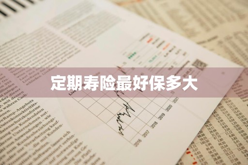定期寿险最好保多大