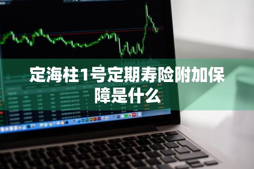 定海柱1号定期寿险附加保障是什么