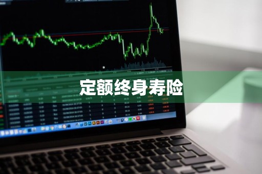 定额终身寿险