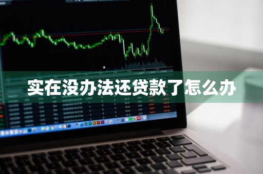 实在没办法还贷款了怎么办