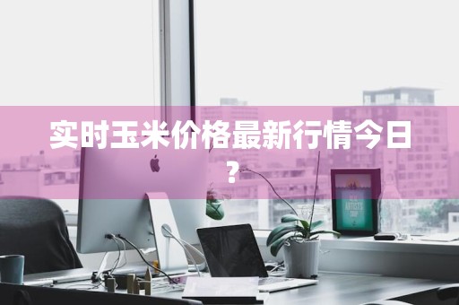 实时玉米价格最新行情今日？