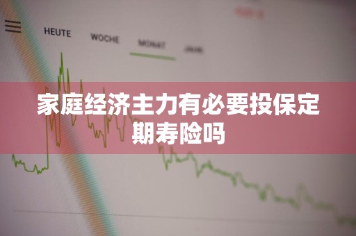 家庭经济主力有必要投保定期寿险吗