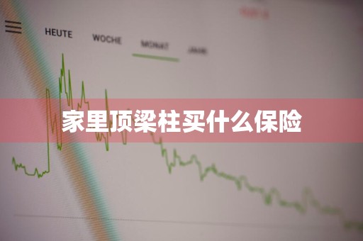 家里顶梁柱买什么保险