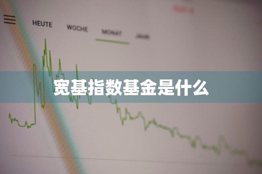 宽基指数基金是什么
