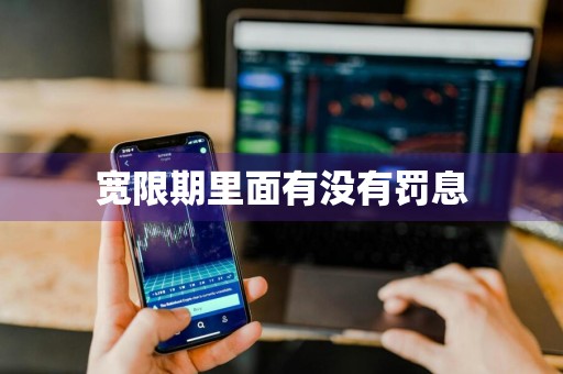 宽限期里面有没有罚息