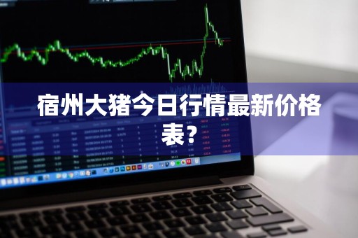 宿州大猪今日行情最新价格表？