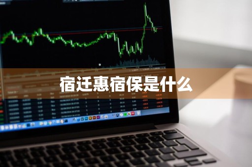 宿迁惠宿保是什么