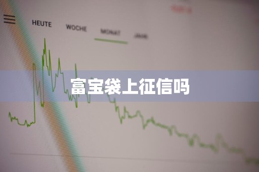 富宝袋上征信吗