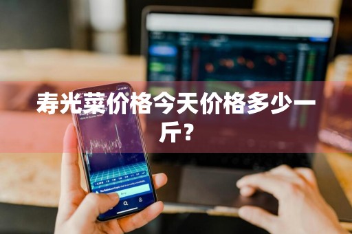 寿光菜价格今天价格多少一斤？