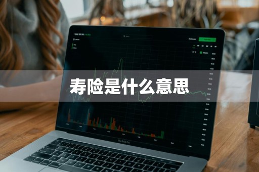 寿险是什么意思
