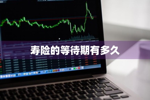 寿险的等待期有多久
