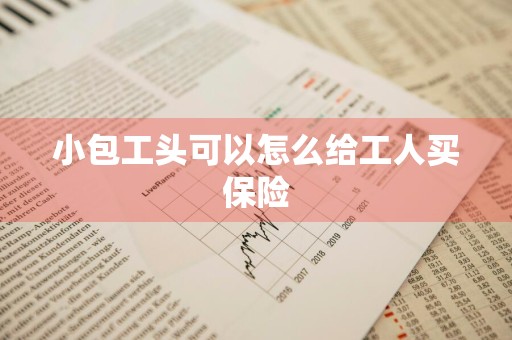 小包工头可以怎么给工人买保险