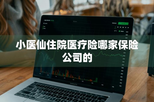 小医仙住院医疗险哪家保险公司的