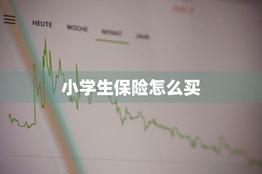 小学生保险怎么买