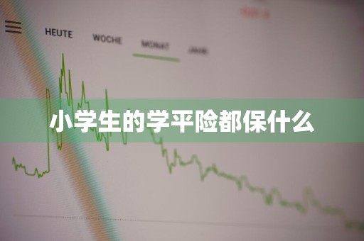 小学生的学平险都保什么