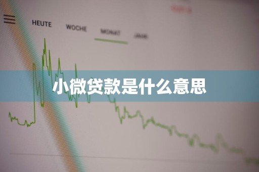 小微贷款是什么意思