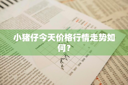 小猪仔今天价格行情走势如何？