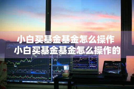 小白买基金基金怎么操作 小白买基金基金怎么操作的