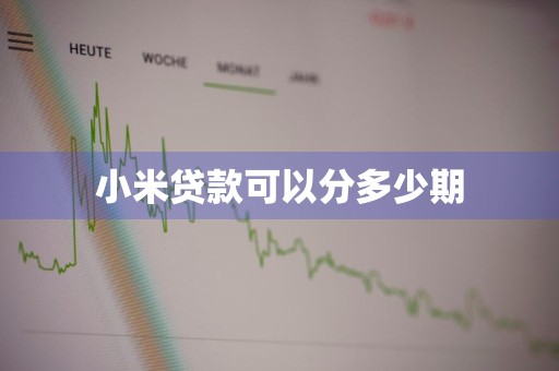 小米贷款可以分多少期