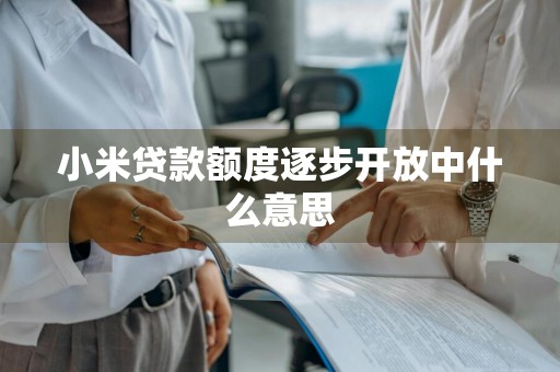 小米贷款额度逐步开放中什么意思