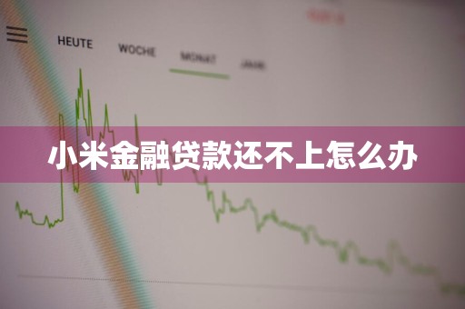 小米金融贷款还不上怎么办