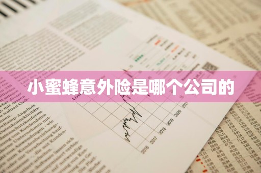 小蜜蜂意外险是哪个公司的
