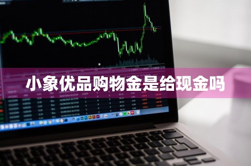 小象优品购物金是给现金吗