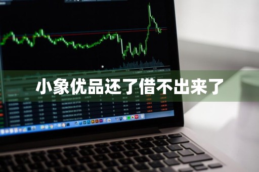 小象优品还了借不出来了