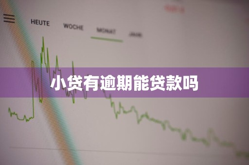 小贷有逾期能贷款吗