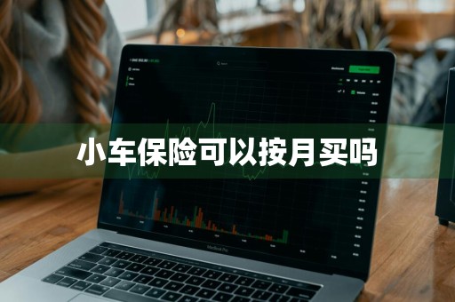 小车保险可以按月买吗