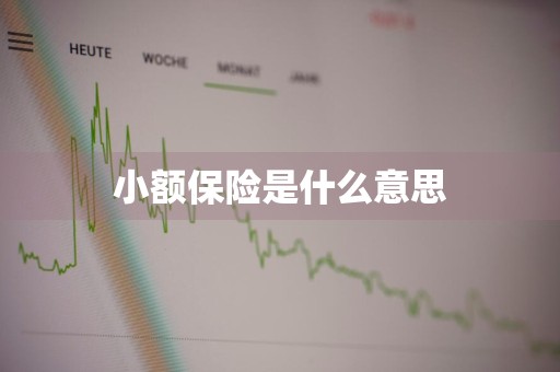 小额保险是什么意思
