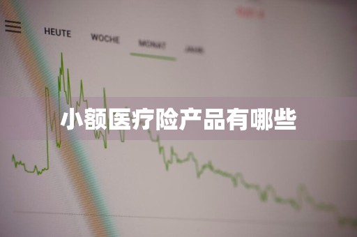 小额医疗险产品有哪些