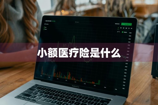 小额医疗险是什么