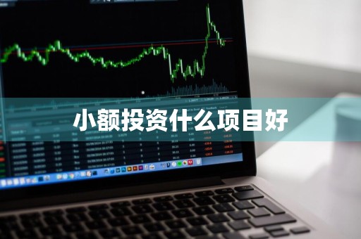 小额投资什么项目好