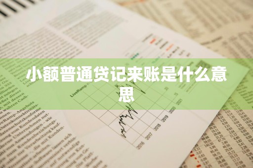 小额普通贷记来账是什么意思