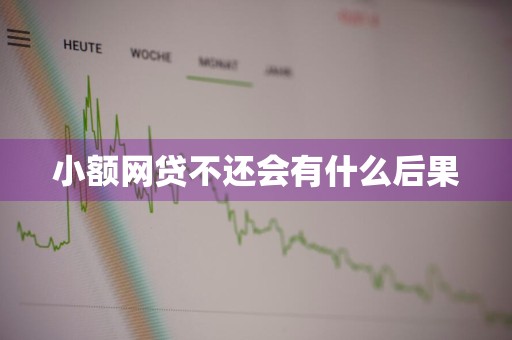 小额网贷不还会有什么后果