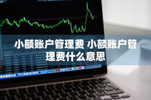 小额账户管理费 小额账户管理费什么意思